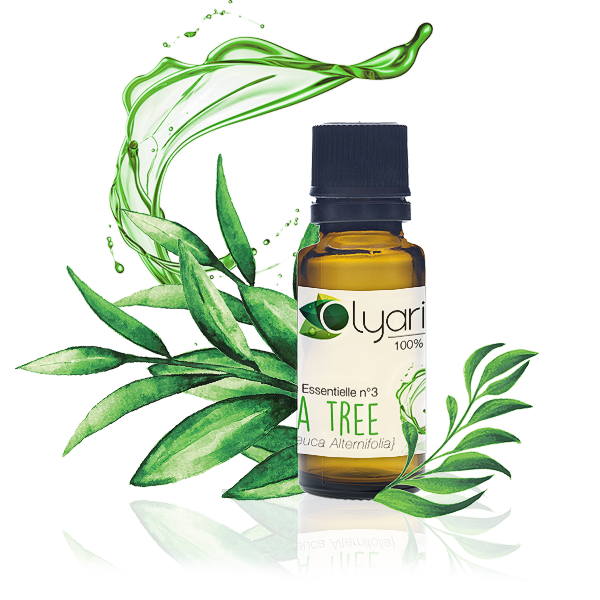 Huile Essentielle de Tea Tree contre l'Acné - Olyaris